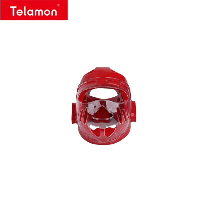 Taekwondo Headgear best